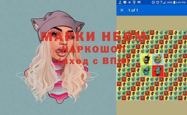 шишки Верхний Тагил