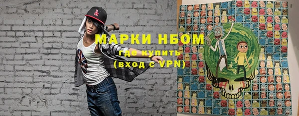 шишки Верхний Тагил