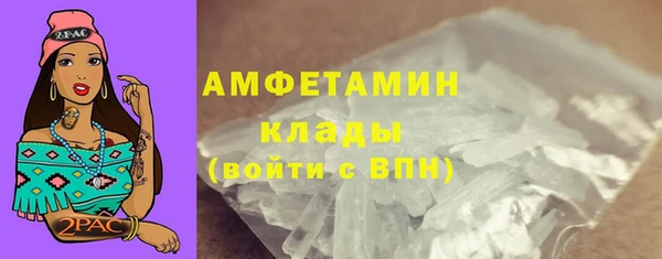 шишки Верхний Тагил