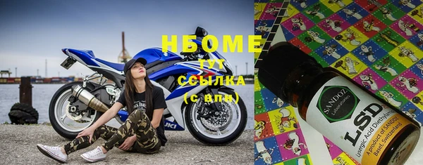 шишки Верхний Тагил