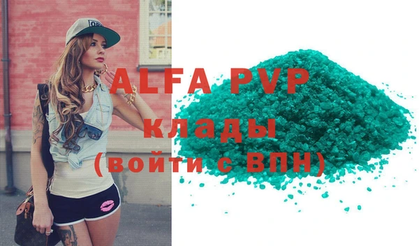 шишки Верхний Тагил
