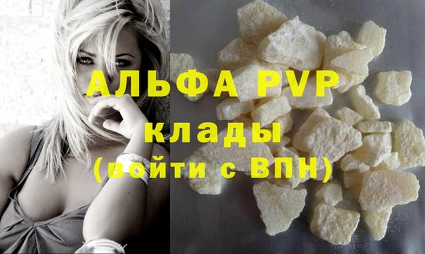 шишки Верхний Тагил
