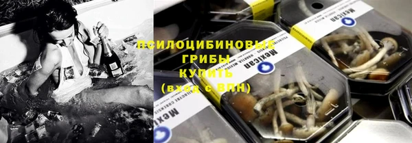 шишки Верхний Тагил